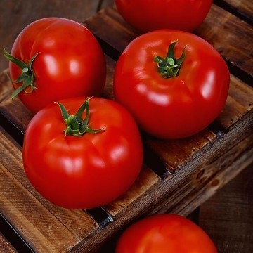 Firebird Tomato Seeds
