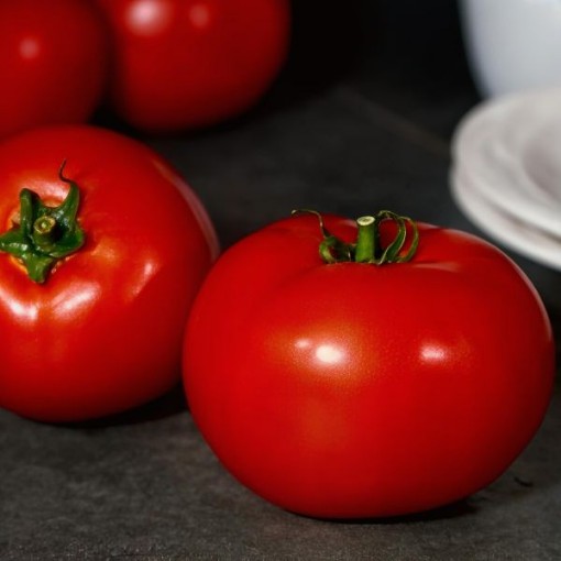 Red Snapper Tomato Seeds