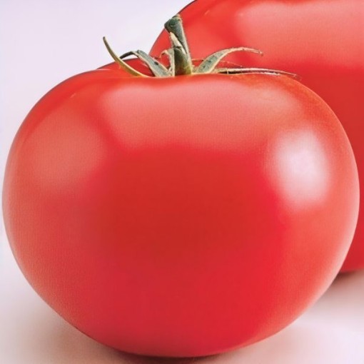 Heatmaster Tomato Seeds