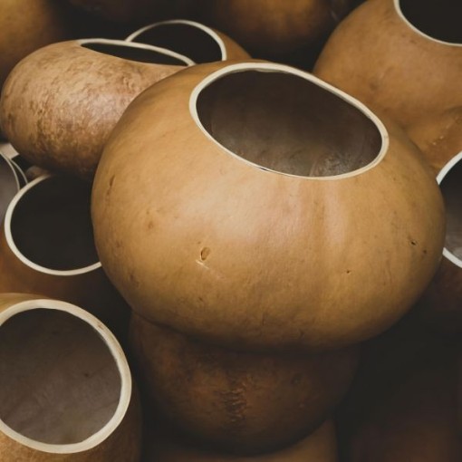 Bushel Gourd Seeds