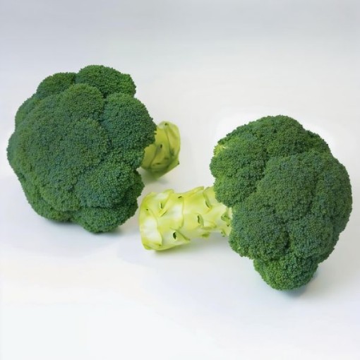 Appalachian Broccoli Seeds