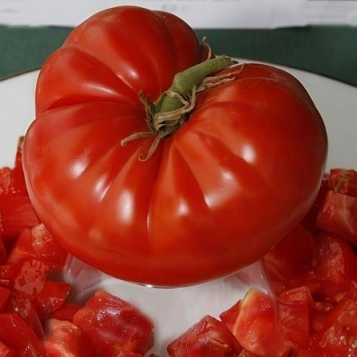Marizol Red Tomato Seeds