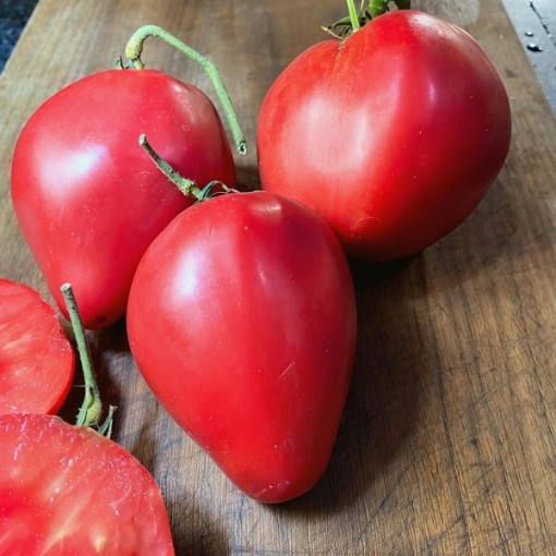 Bull's Heart Tomato Seeds