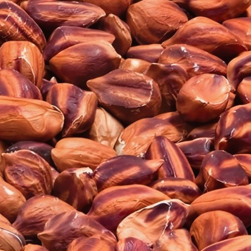 Wild Jungle Peanut Seeds
