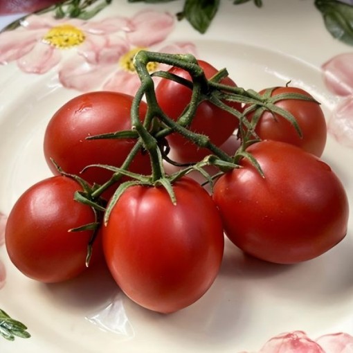 Brandysweet Plum Tomato Seeds
