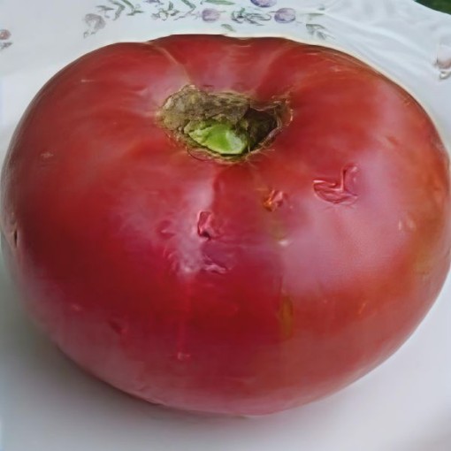 Earl's Faux Tomato Seeds