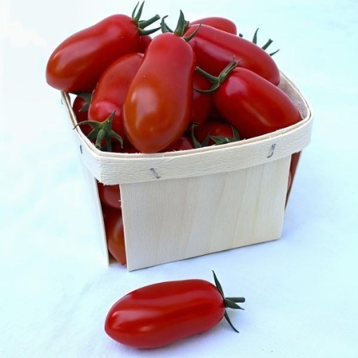 Marzito Tomato Seeds
