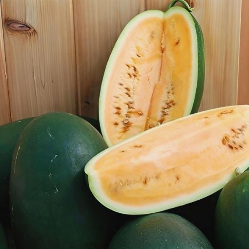 Sweet Siberian Watermelon Seeds