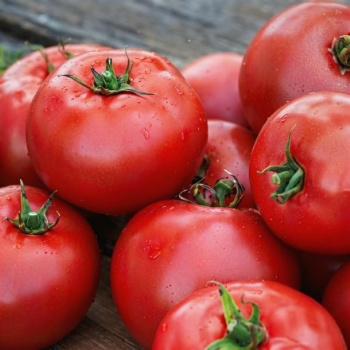Better Boy Tomato Seeds