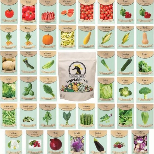 Vegetable & Herb Seed Kit (43 Varieties)