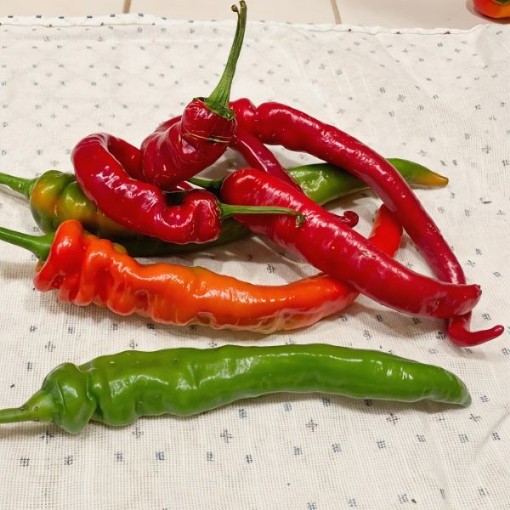 Jimmy Nardello Pepper Seeds