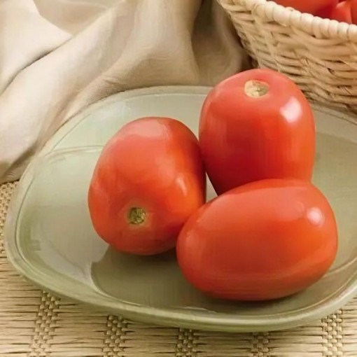 Monticello Tomato Seeds	