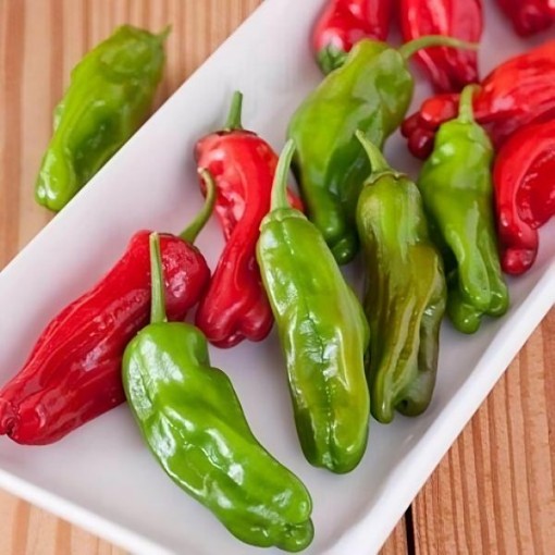 Shishito Pepper Seeds