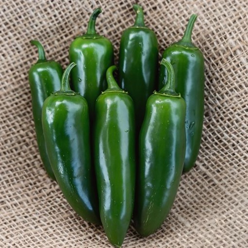 Nadapeno Pepper Seeds