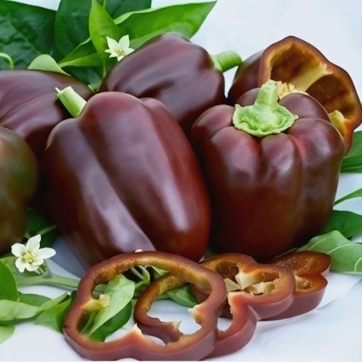 Chocolate Beauty Pepper Seeds
