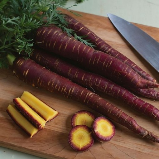 Purple Elite Carrot Seeds