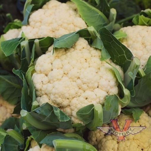 All the Year Round Cauliflower Seeds