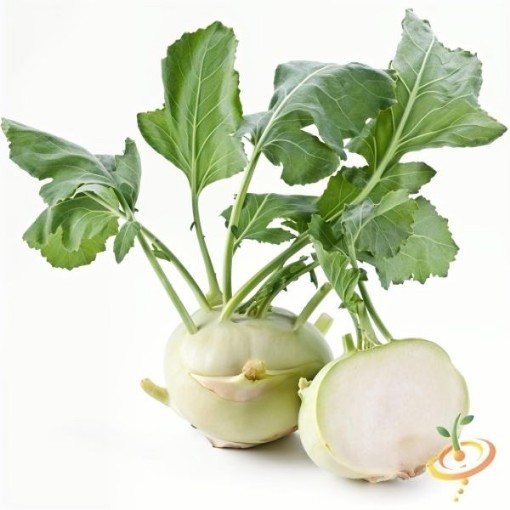Delicatesse White Kohlrabi Seeds