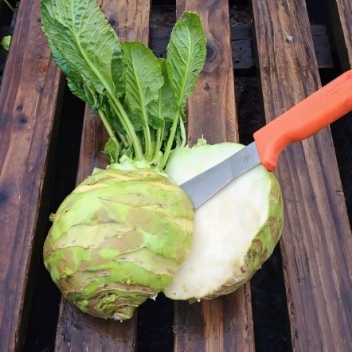 Superschmelz Kohlrabi Seeds