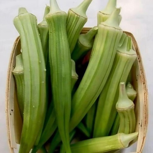 Burmese Okra Seeds