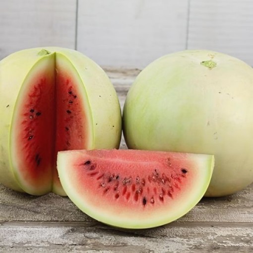 Winter King & Queen Watermelon Seeds