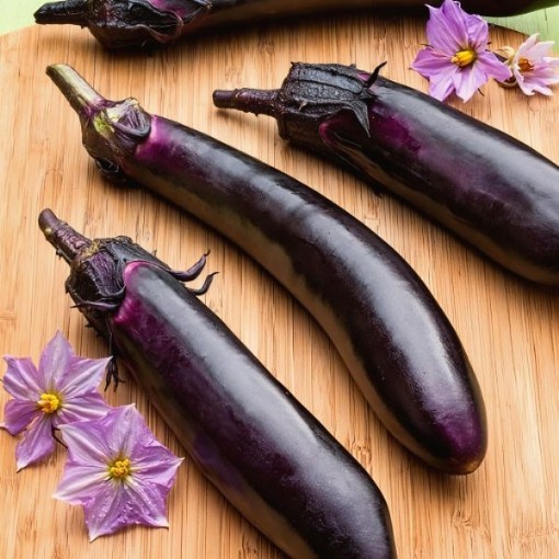 Ichiban Eggplant Seeds