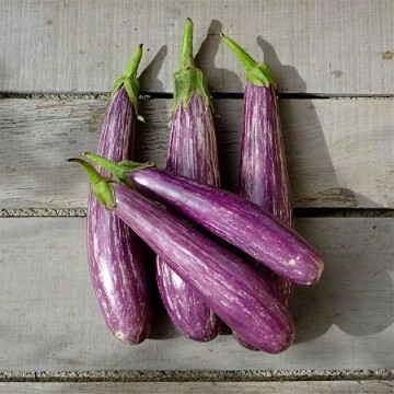 Fairy Tale Eggplant Seeds