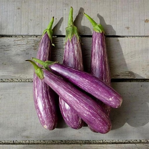 Fairy Tale Eggplant Seeds