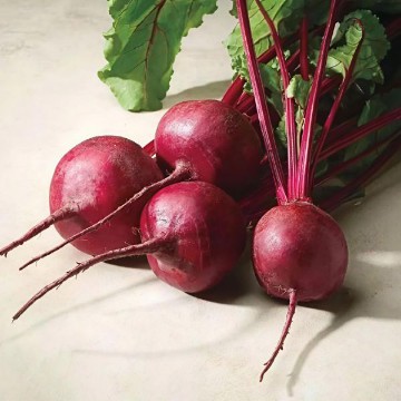 Merlin Beet Seeds
