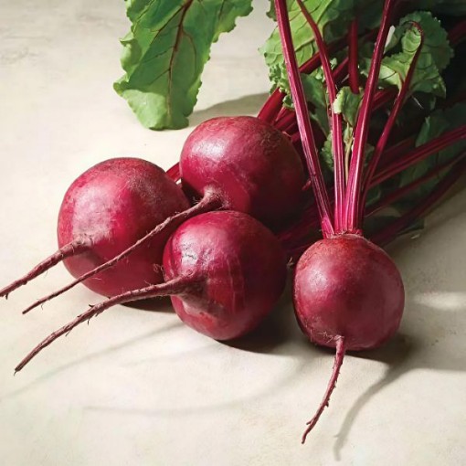 Merlin Beet Seeds