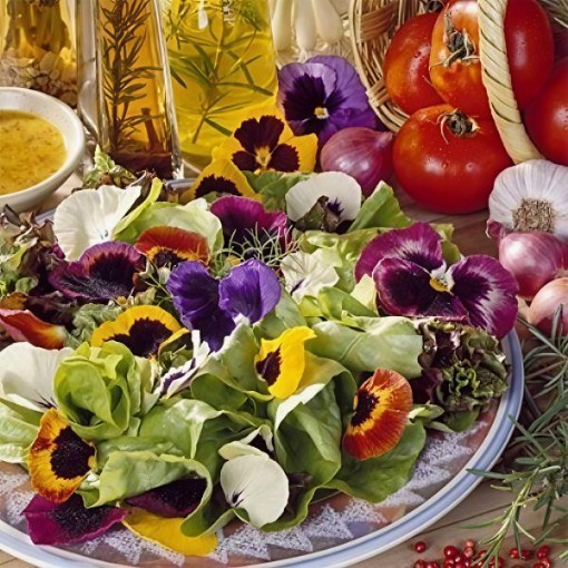 Edible Wildflower & Herb Mix Seeds