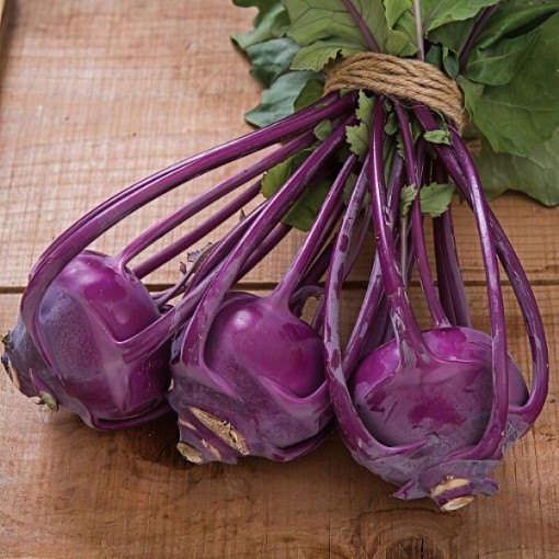 Azur Star Kohlrabi Seeds