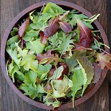Mesclun Mix Lettuce Seeds