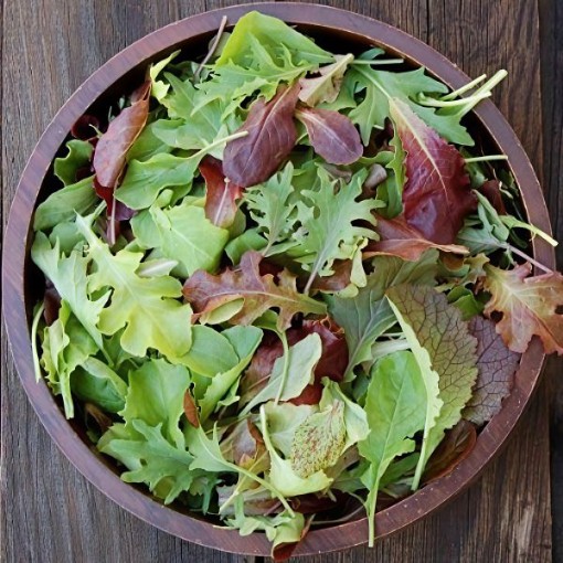 Mesclun Mix Lettuce Seeds