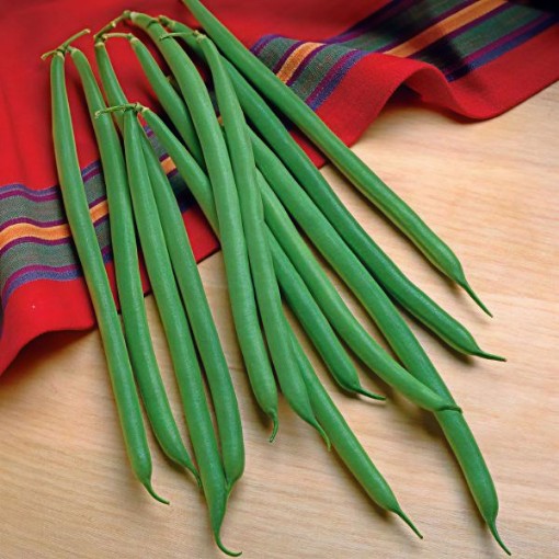 Jade Bean Seeds