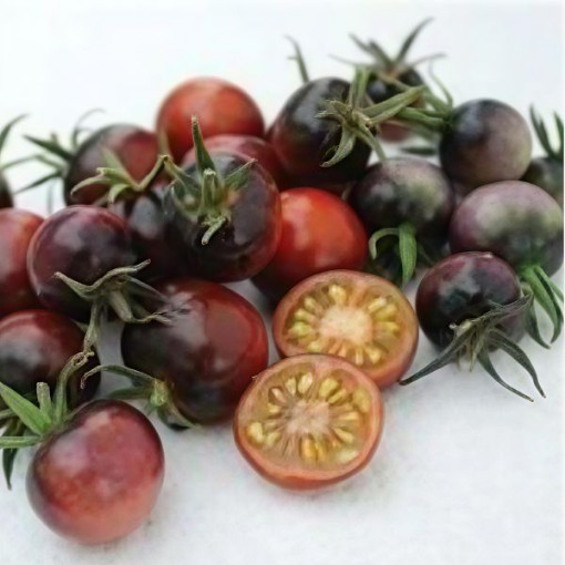 Indigo Blue Berries Tomato Seeds