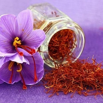 Saffron Bulbs