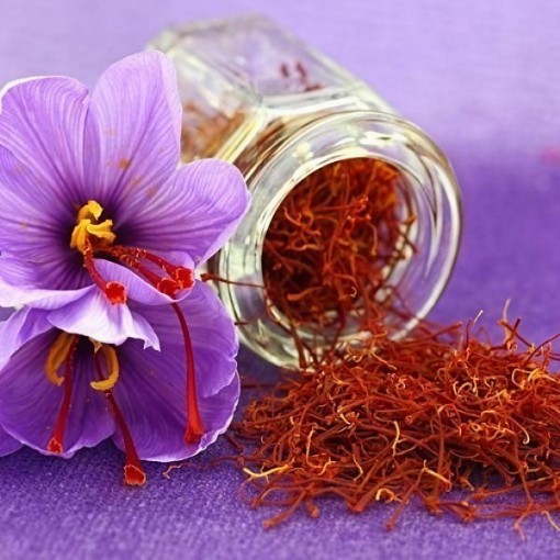 Saffron Bulbs