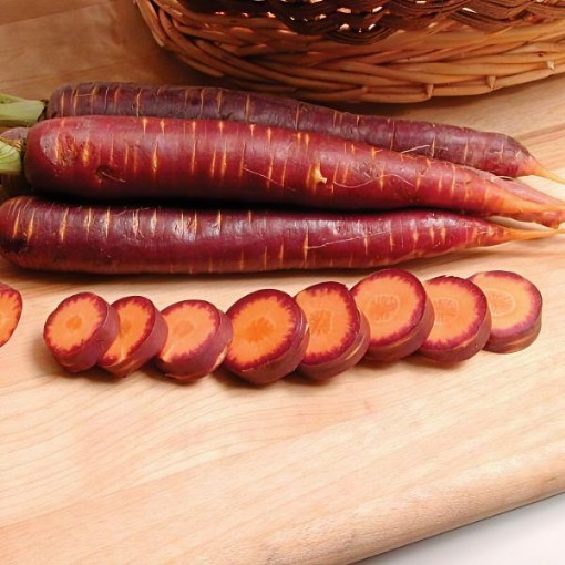 Purple Haze Carrot Seeds