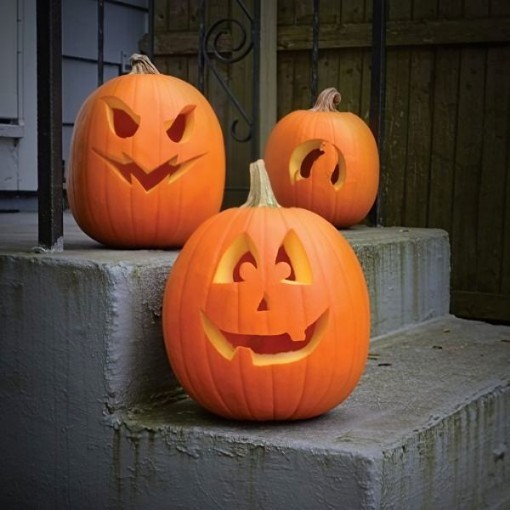 Jack O Lantern Pumpkin Seeds