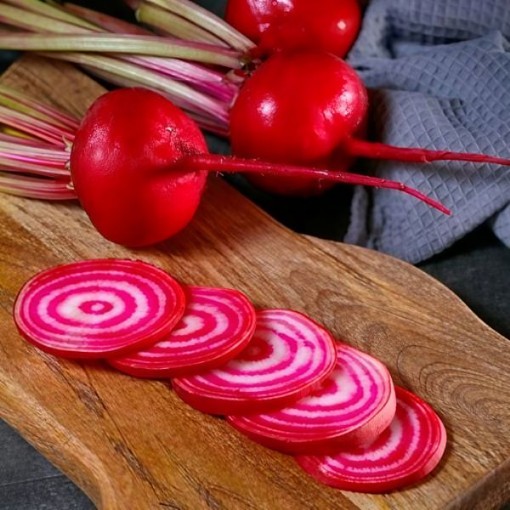 Chioggia Guardsmark Beet Seeds