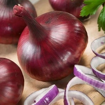 Red Burgundy Onion Seeds