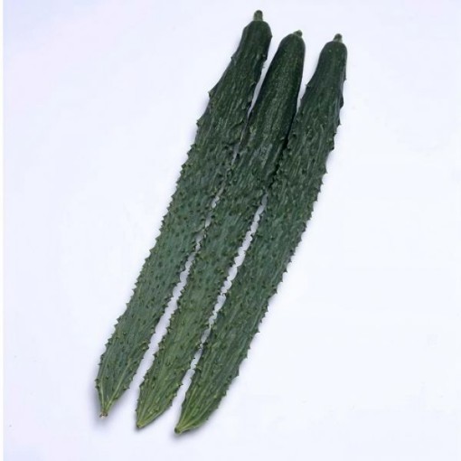 Palace Pride Cucumber Seeds