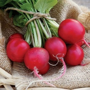 Cherry Belle Radish Seeds