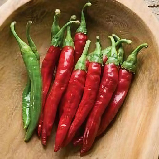 Red Rocket Pepper Seeds