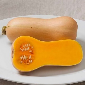 Early Butternut Squash Seeds
