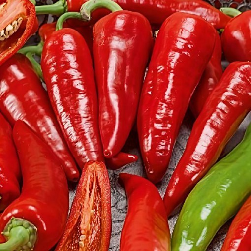 Mama Mia Rosso Pepper Seeds
