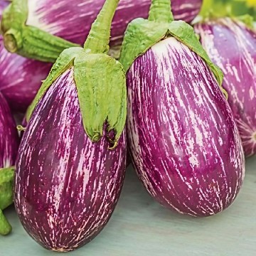 Listada de Gandia Eggplant Seeds