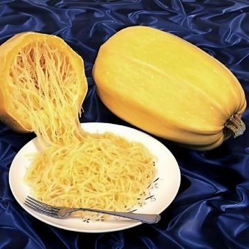 Vegetable Spaghetti Squash Seeds