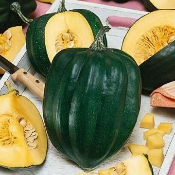 Table King Squash Seeds